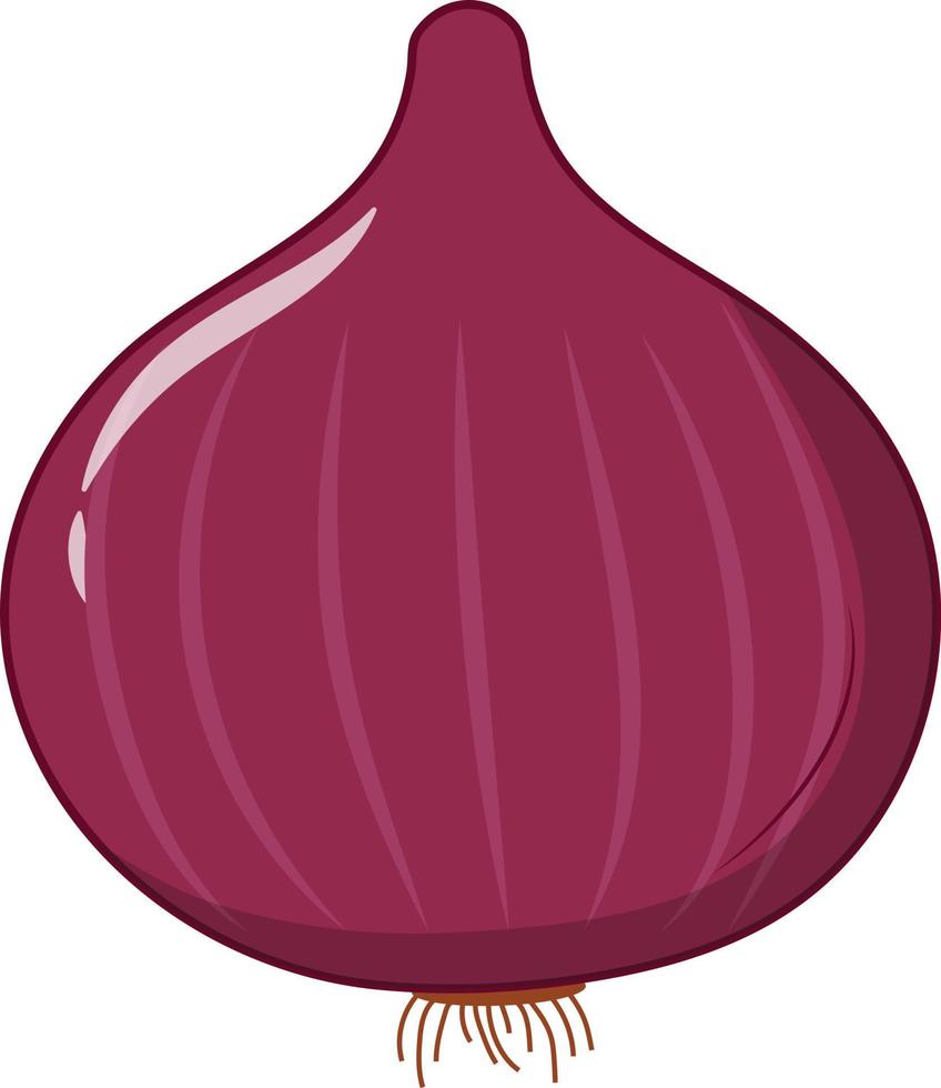 Fresh Single Onion Vector Illustration