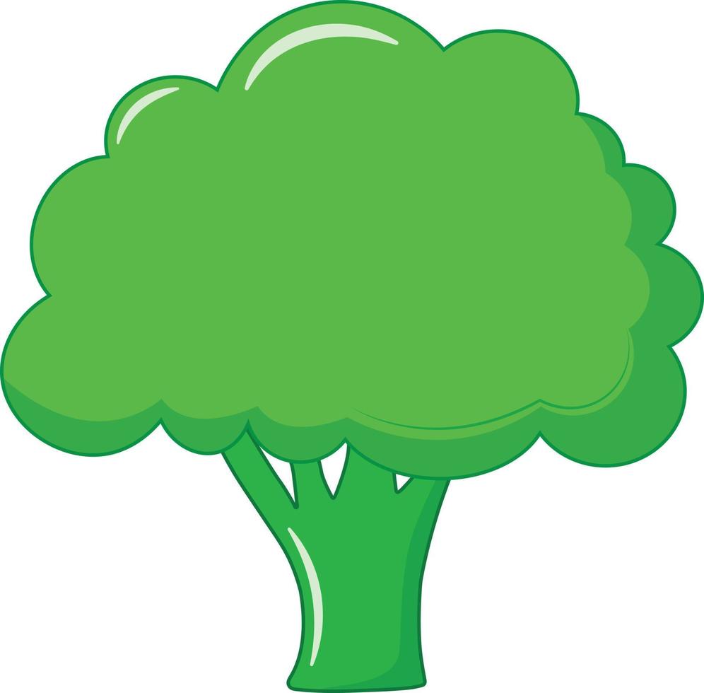 Fresh and Green Broccoli Vector Illustration