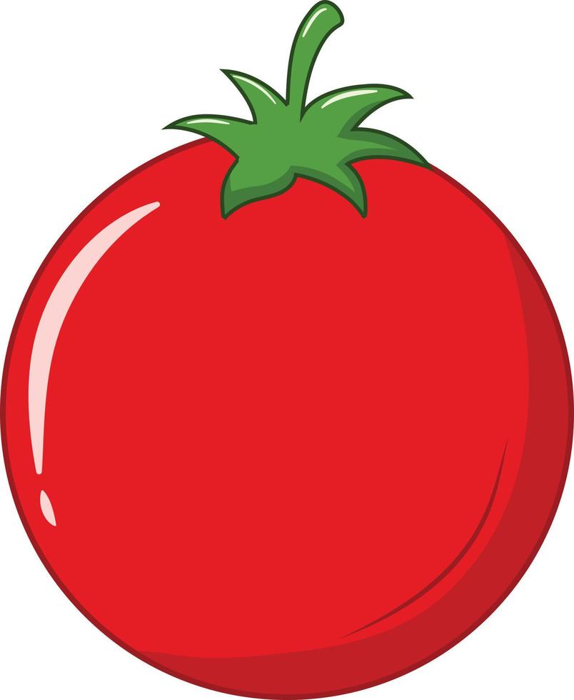 Fresh Single Red Tomato Vector Illustration