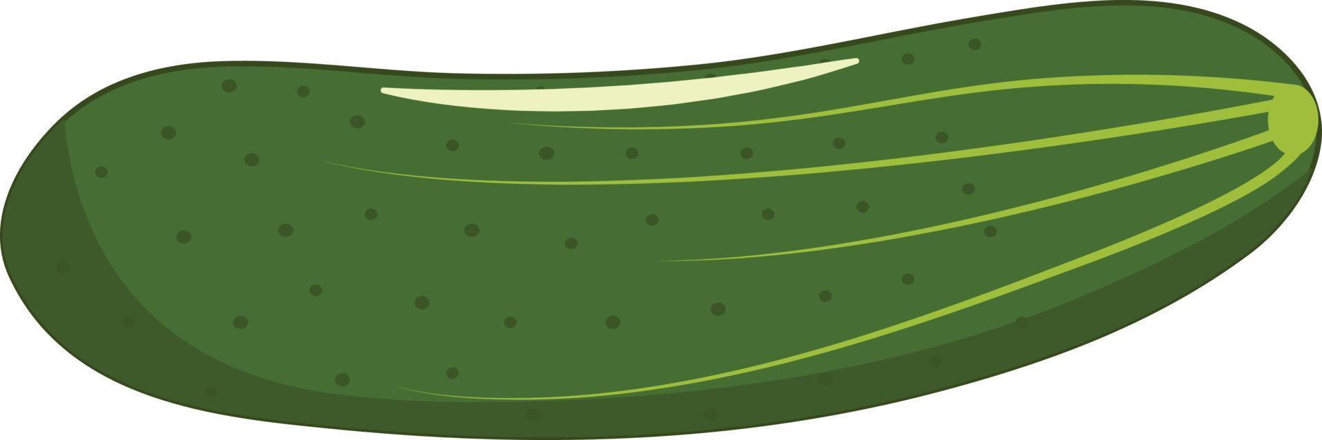 Ilustración de vector de pepino fresco y aislado