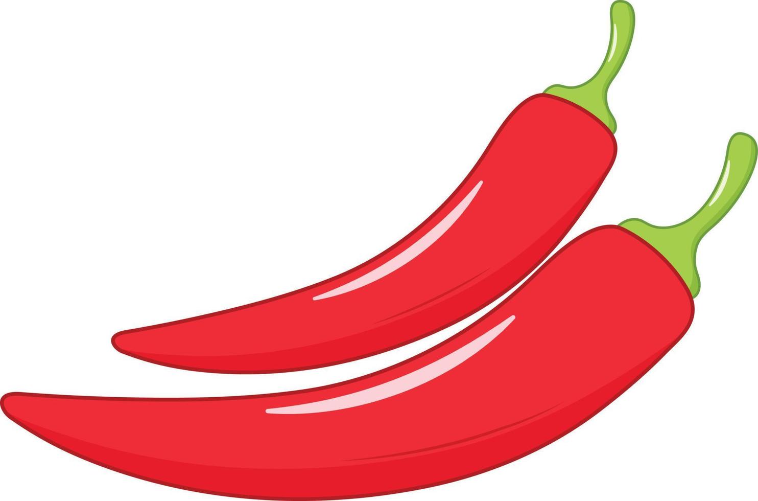 Fresh Red Chilli Vector Illustration