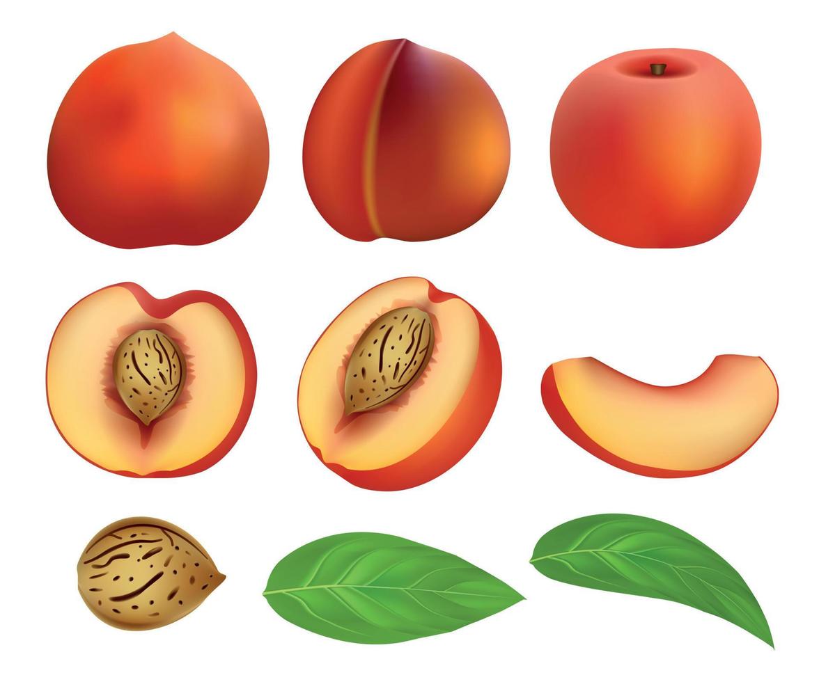 Peach slices fruit leaf mockup set, realistic style vector
