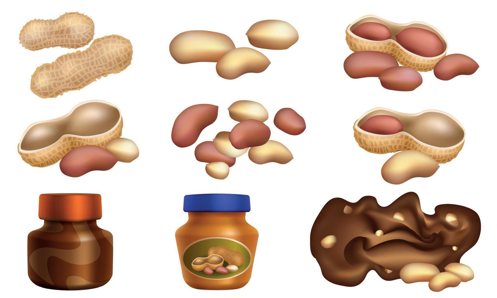 Peanut icons set, cartoon style vector