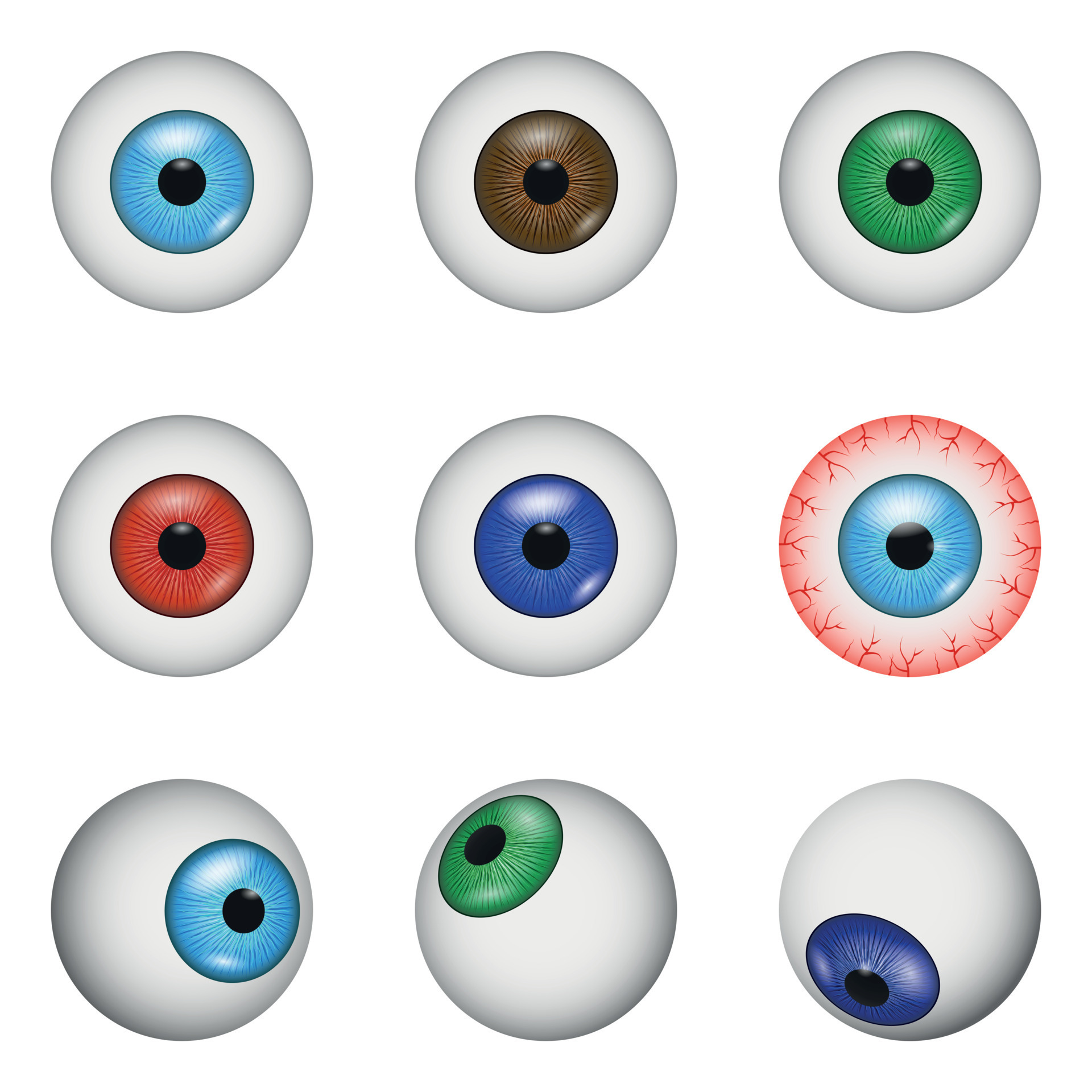 Девять глаз. Макет глаза. Анатомический макет глаза. Макет глазного яблока. Муляжи глаз.