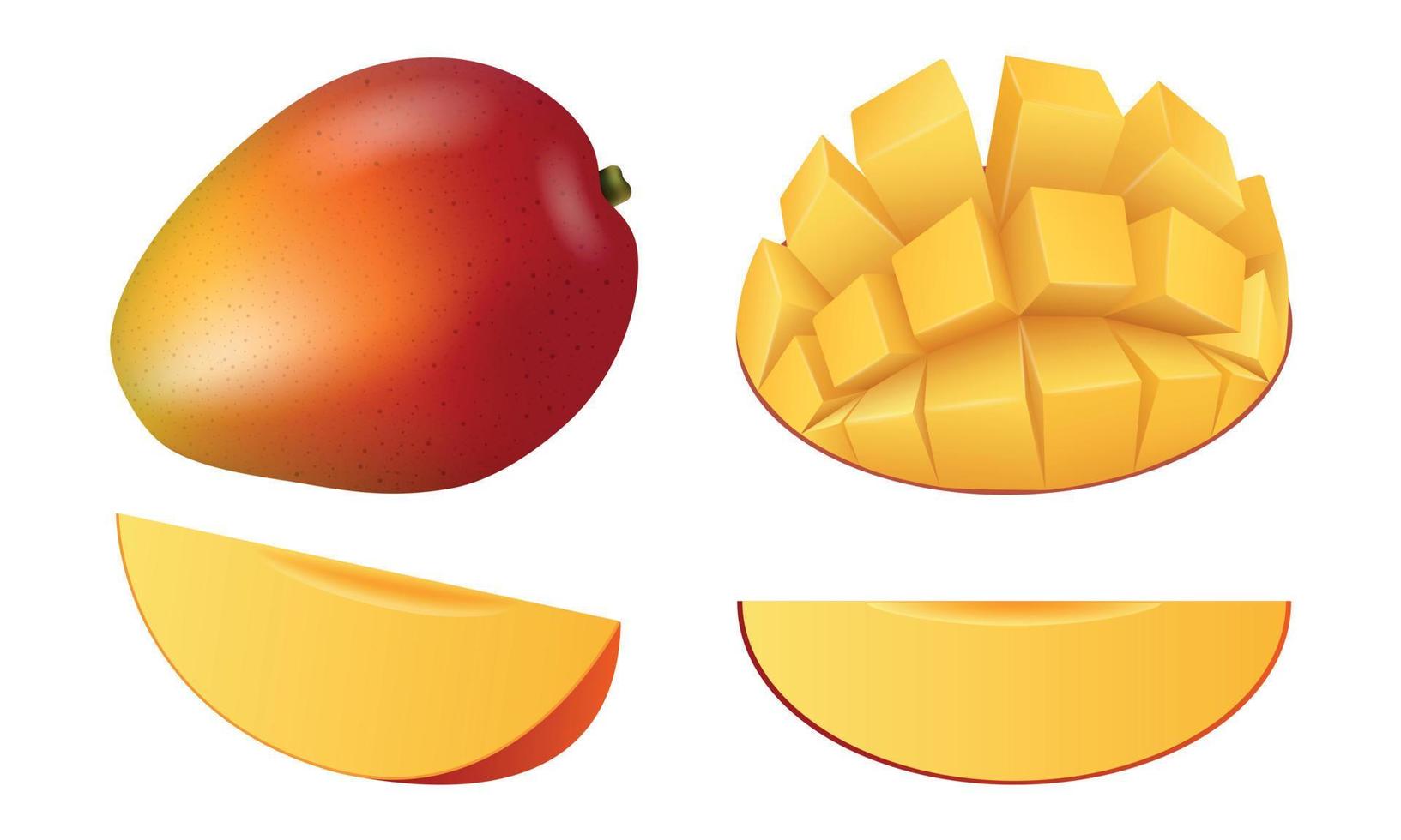 Mango fruit icon set, realistic style vector