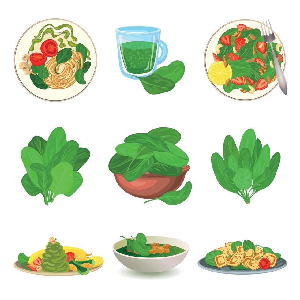 Spinach icons set, cartoon style vector