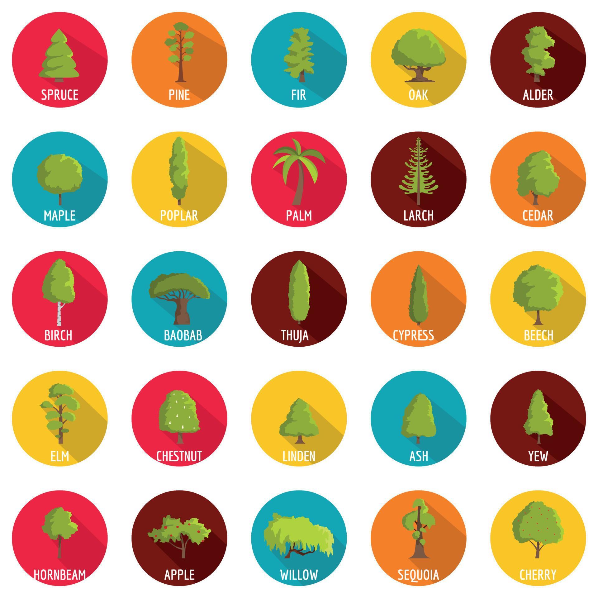 Tree icons set, flat style 8791069 Vector Art at Vecteezy