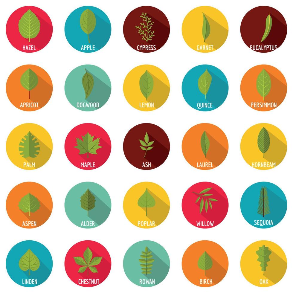 Leaf icons set, flat style vector