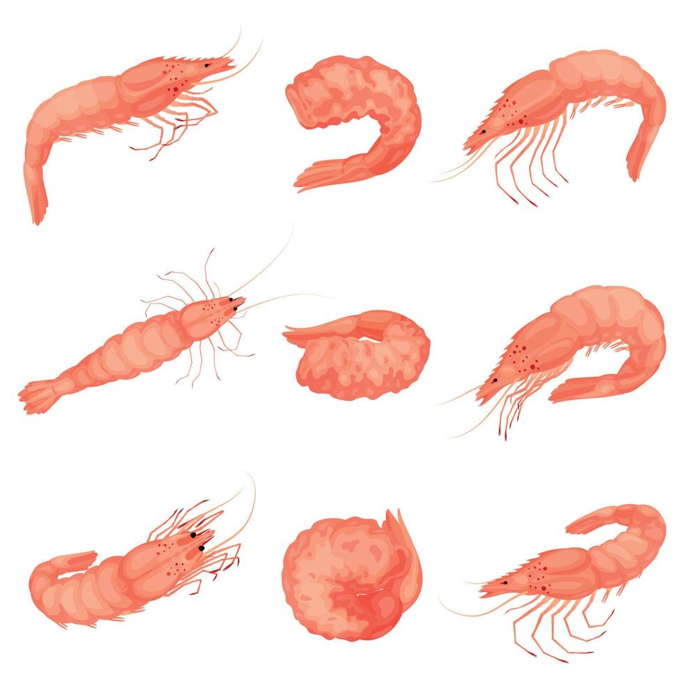 Shrimp icon set, cartoon style vector
