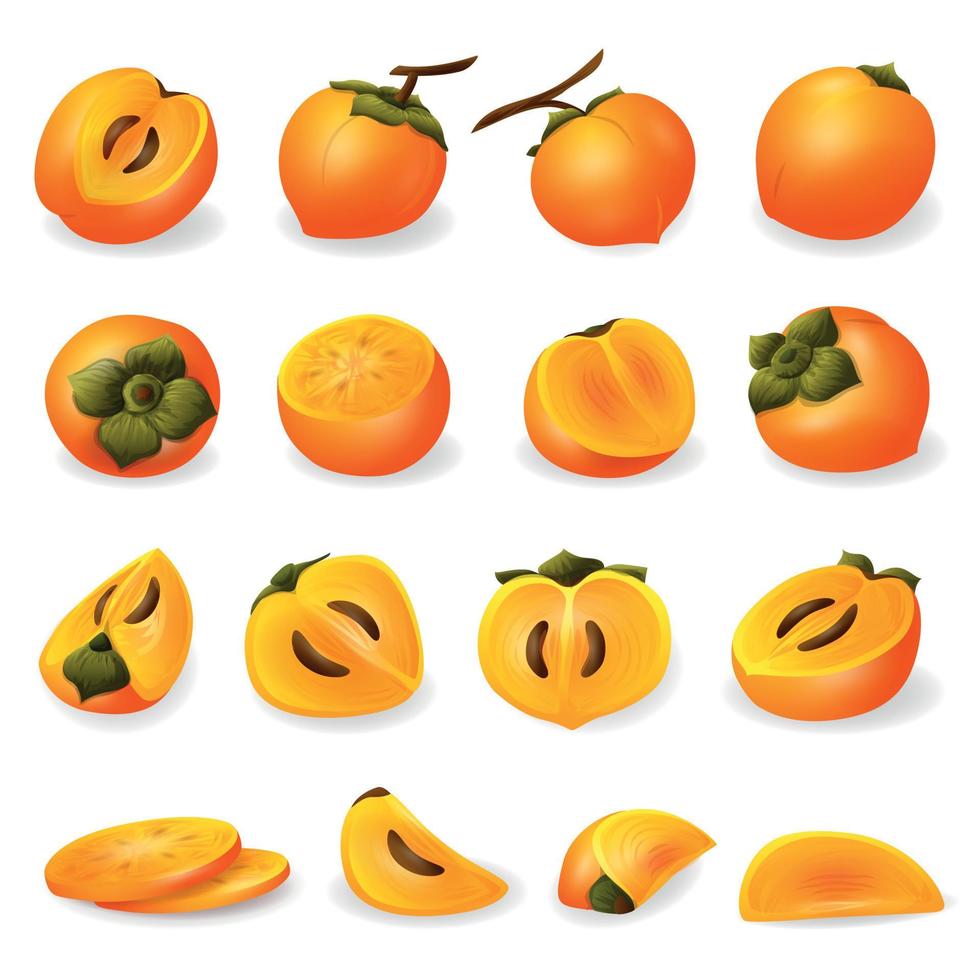 Persimmon icons set, cartoon style vector
