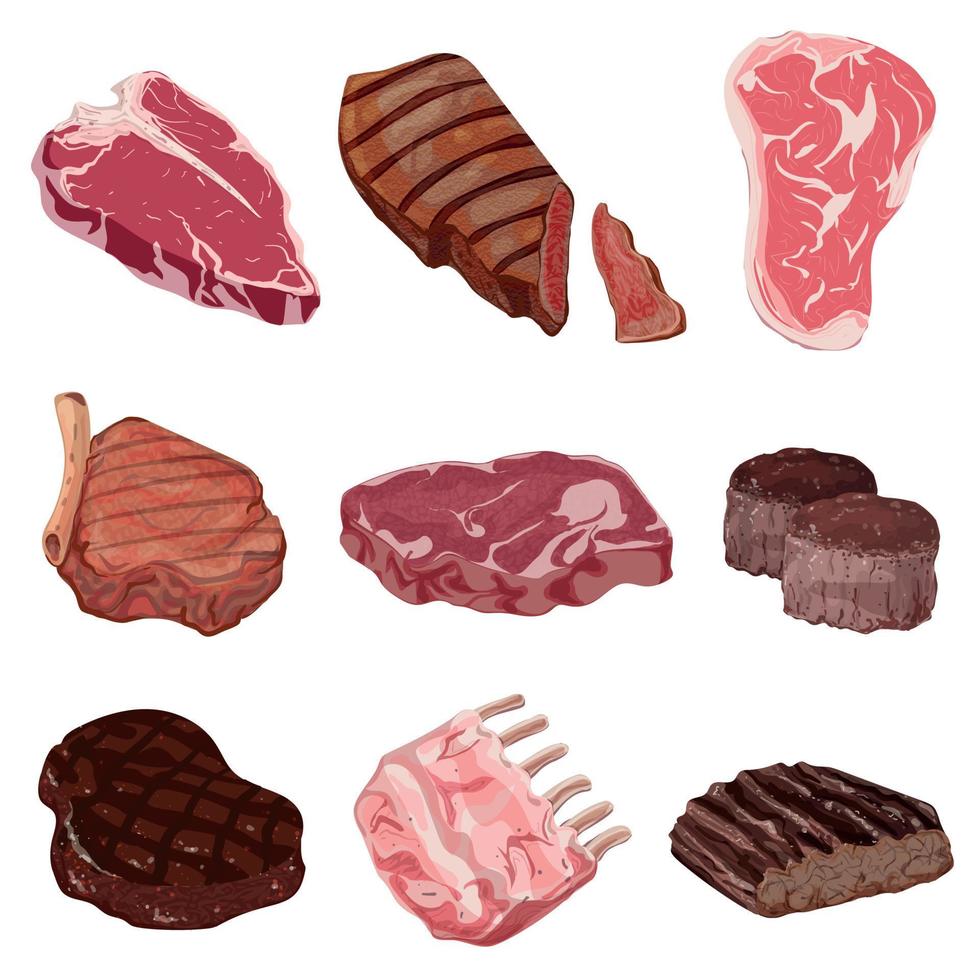 Steak icons set, cartoon style vector