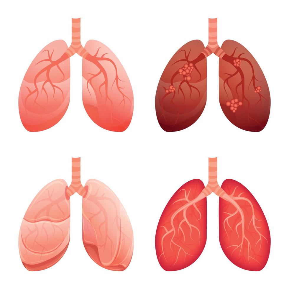 Lung icons set, cartoon style vector