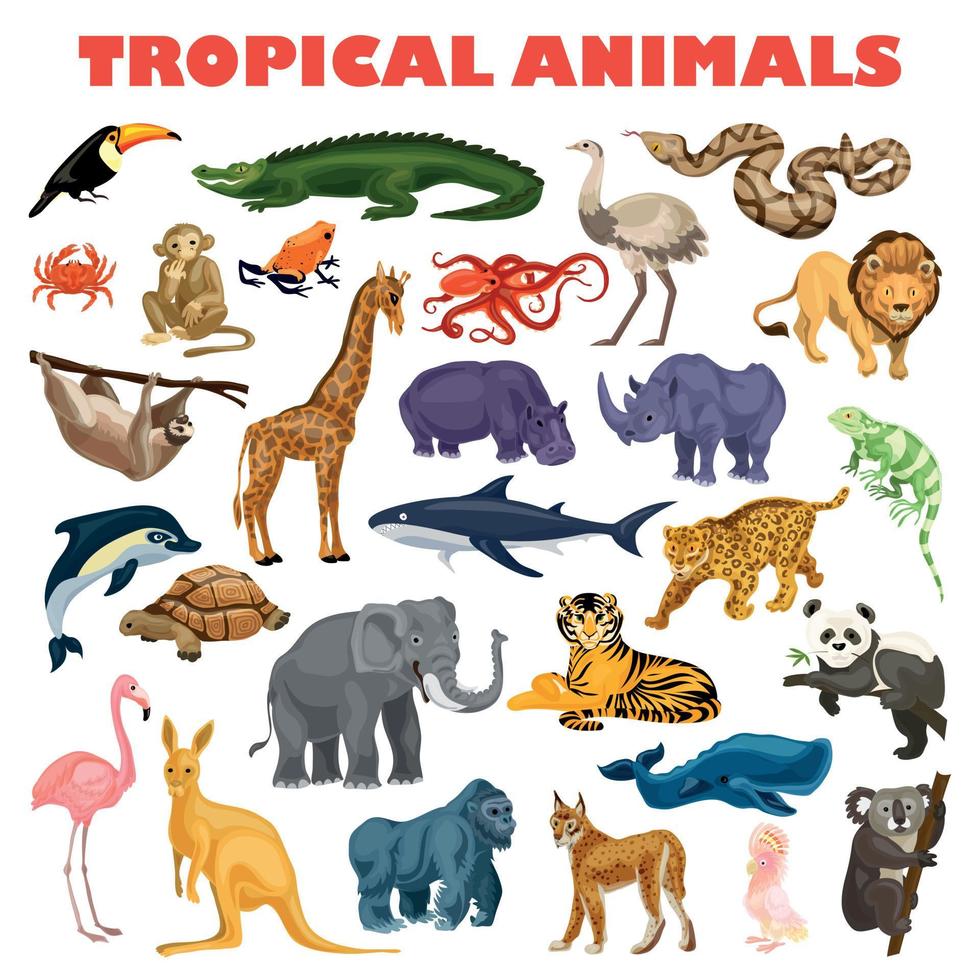 Tropical animal concept background, cartoon style vector