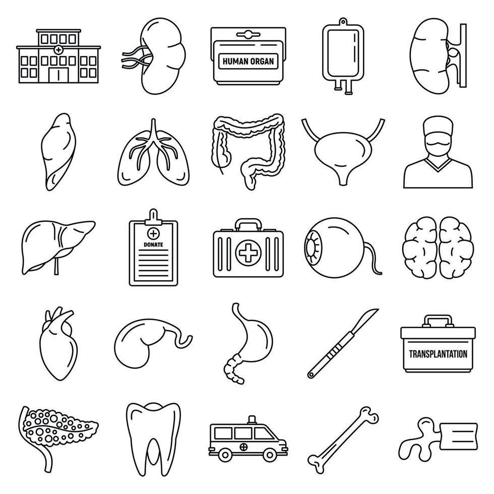 conjunto de iconos de órganos de trasplante, estilo de esquema vector