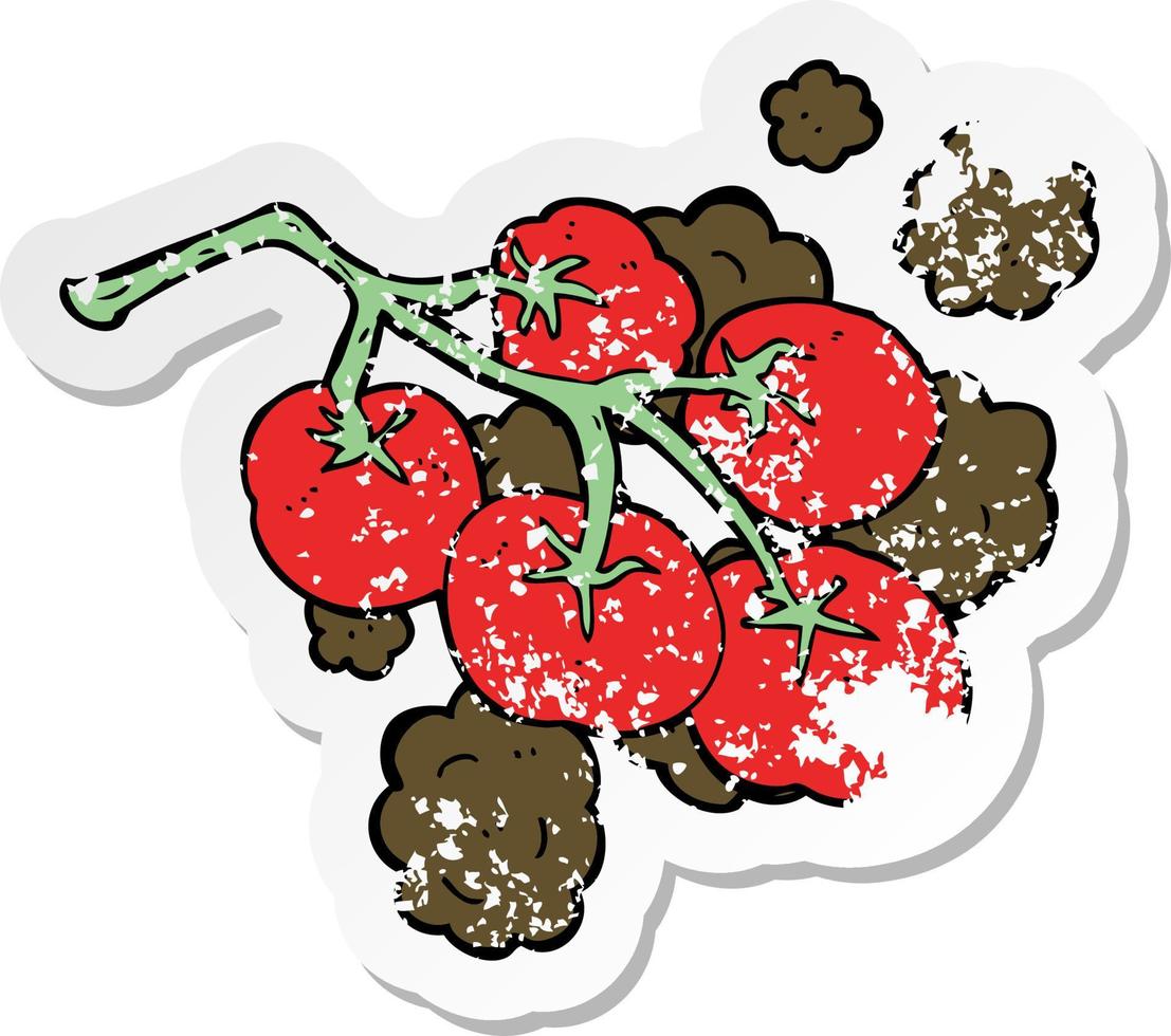 pegatina retro angustiada de tomates verdes en la ilustración de la vid vector