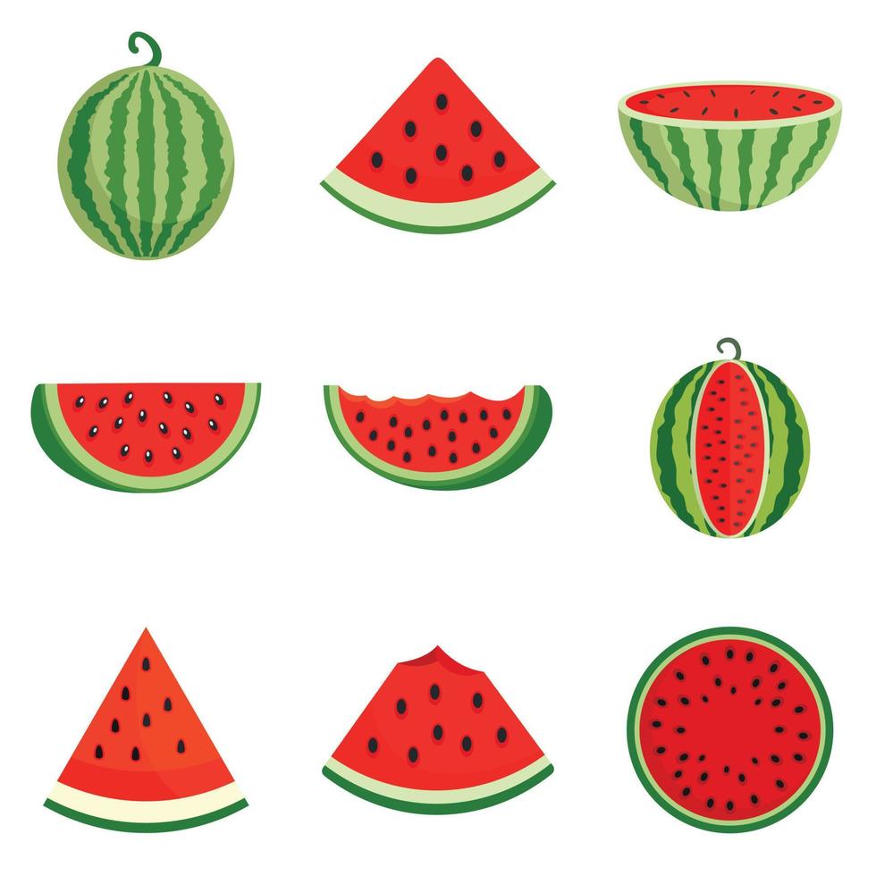 Watermelon icons set, flat style vector