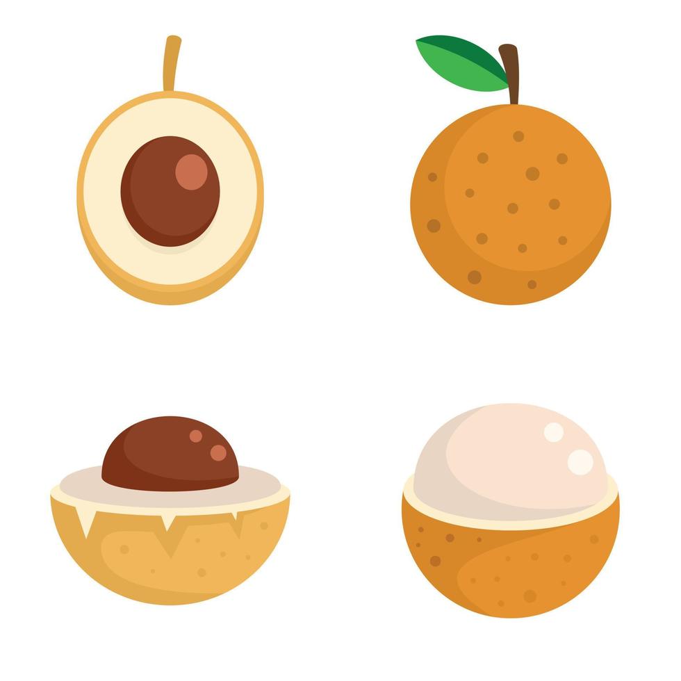 Longan icons set, flat style vector