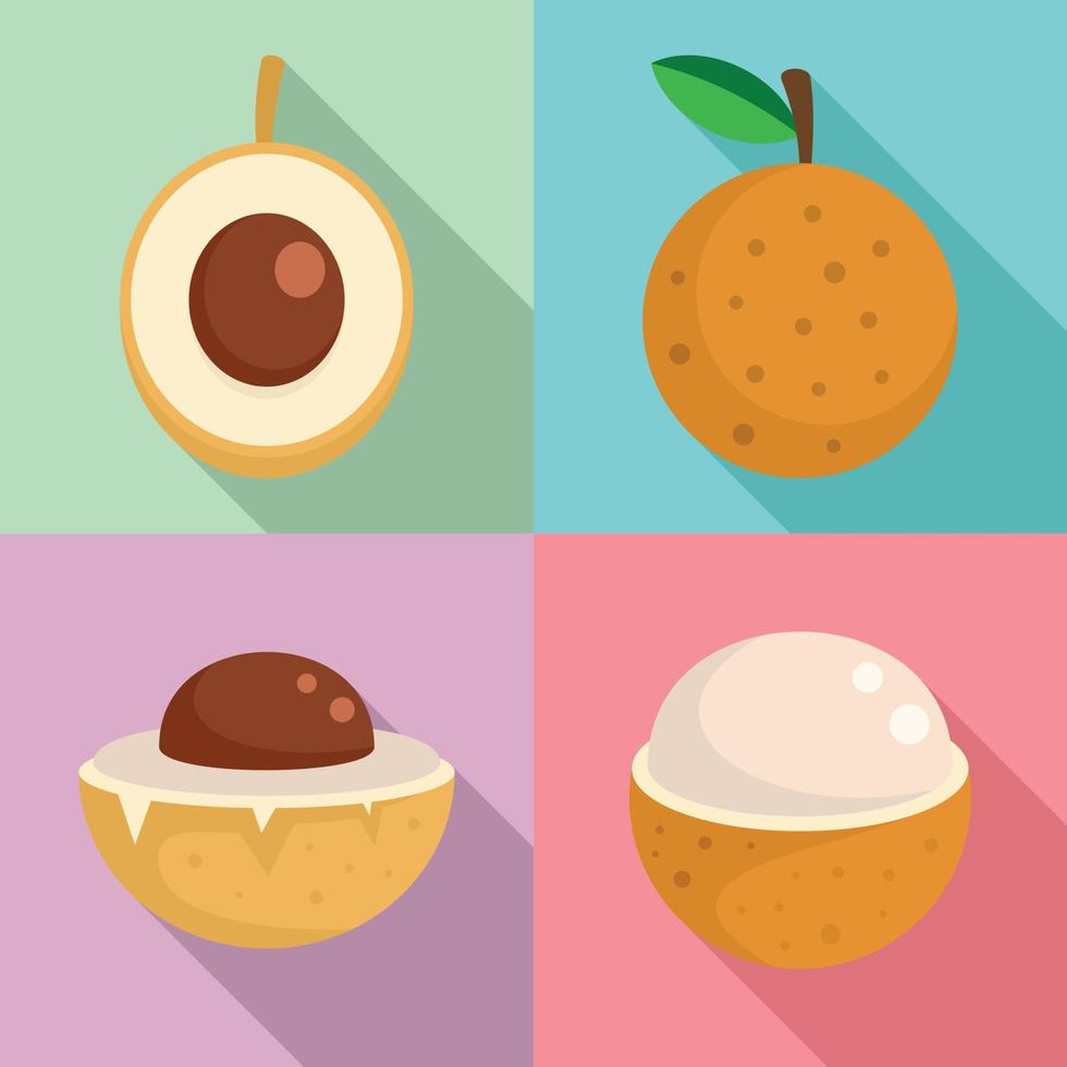 Longan icons set, flat style vector