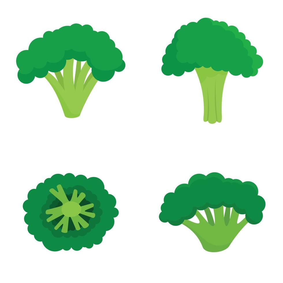 Green broccoli icon set, flat style vector