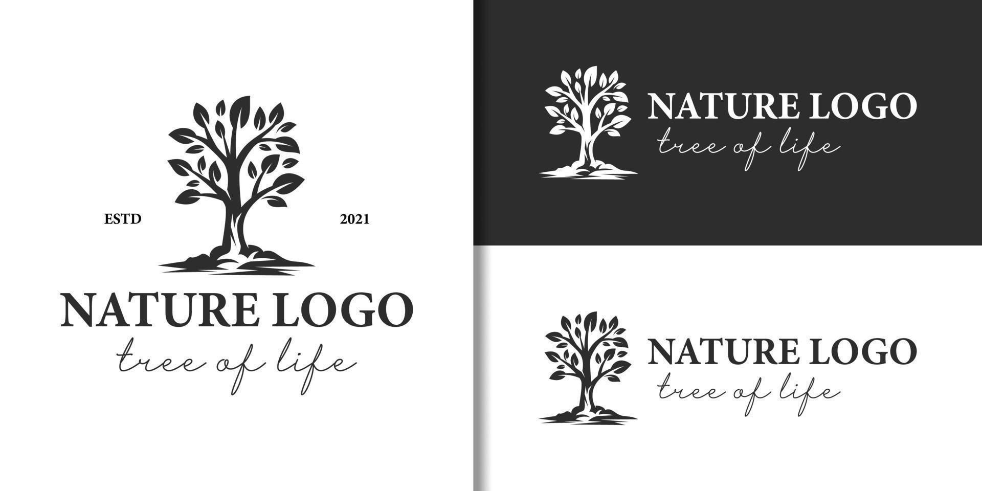 ecology nature plant or tree of life vintage logo. garden tree branch classic logo design vector template