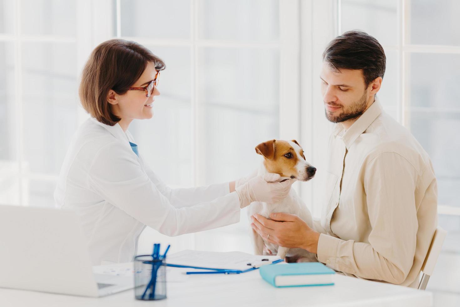 Shot of female vet takes care of beautiful pedigree dog in clinic, gives good treatment, examines animal, talks and gives advice to owner, pose at desktop in cabinet. Medicine and animals concept photo