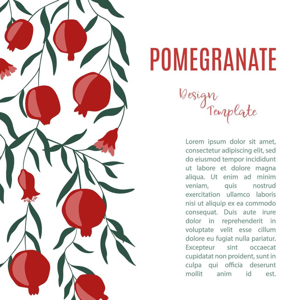 plantilla de diseño con frutas de granada. ilustración de dibujo a mano con espacio para texto. fondo vectorial vector