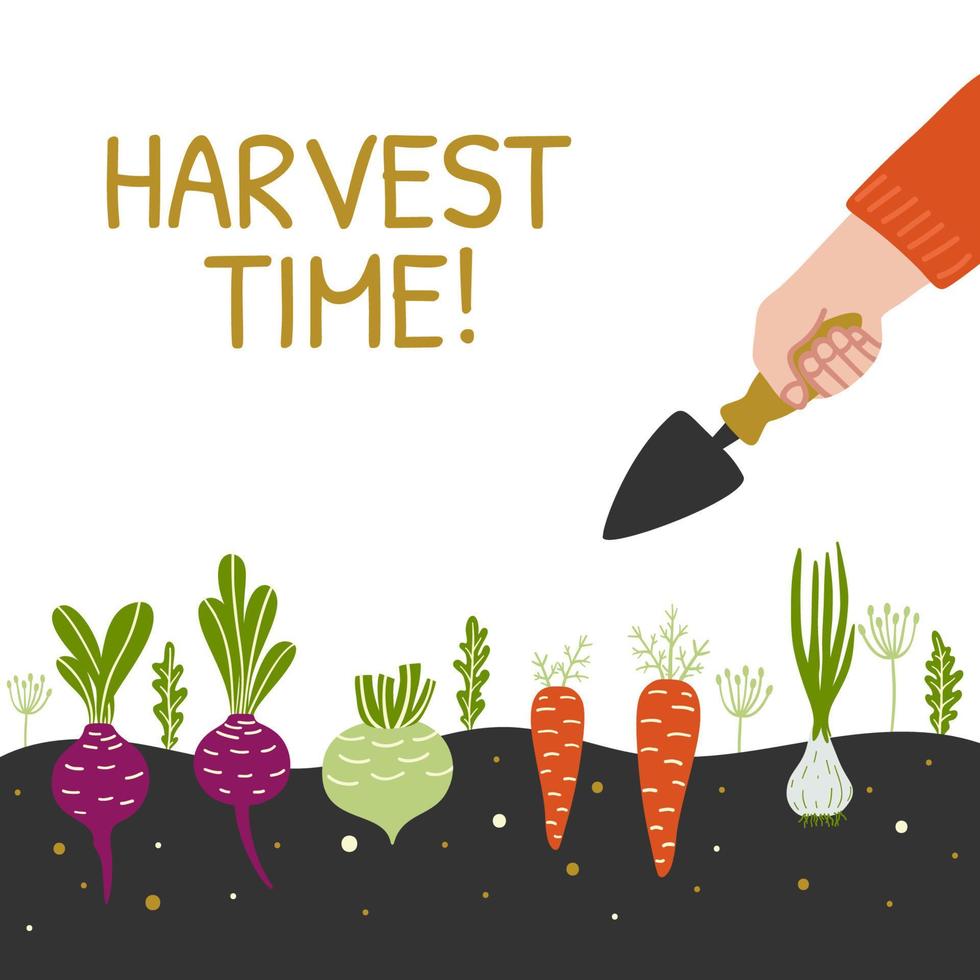 Harvest Time bright banner. Man is harvesting in a field . Modern hand drawn design template. Vector illustration.