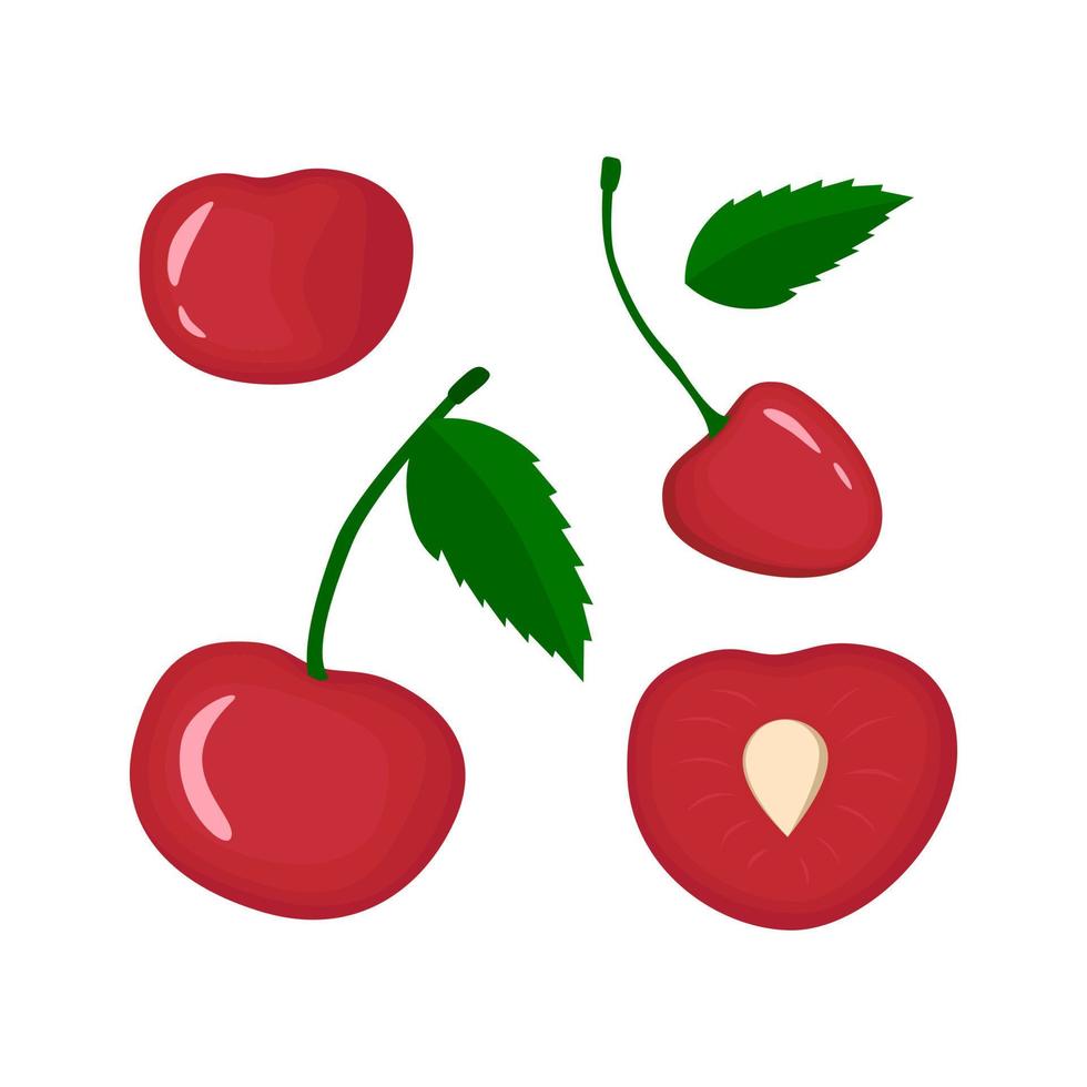 Red cherry vegan berry vector flat isolated illustration