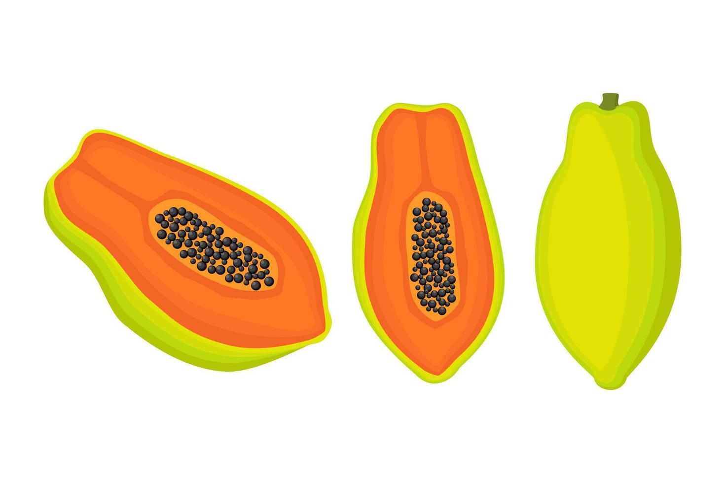 Exotic papaya vegan fruit vector flat isolated illustration