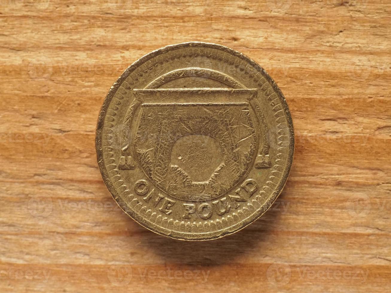 1 Pound coin, reverse side showing Egyptian Arch Railway bridge, photo