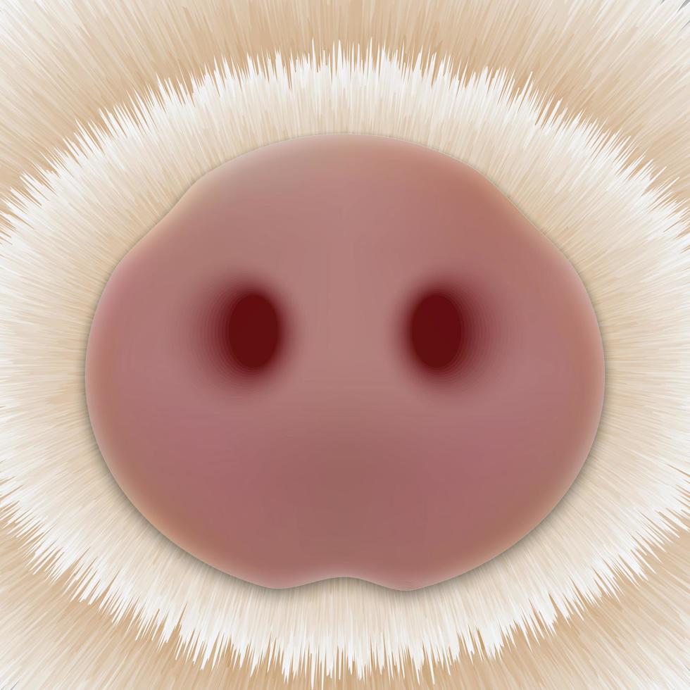 linda nariz de cerdo. cabeza de cerdito vector