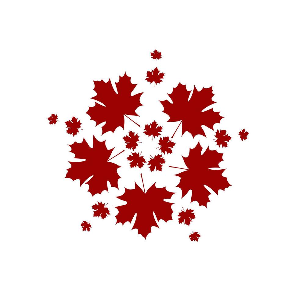 Red maple leaves on white background used in icon and logo vector and illustration template