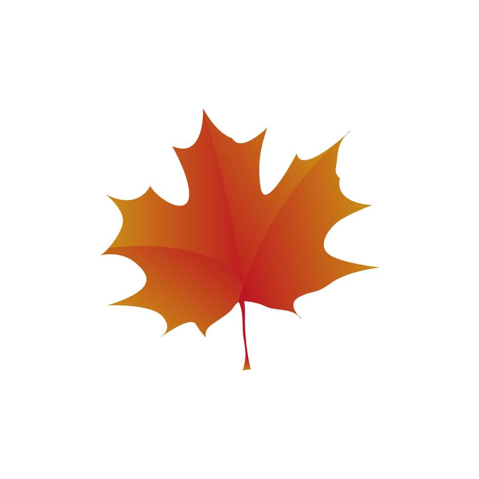 an isolated golden maple leaf on white background. summer maple leaf in autumn season vector