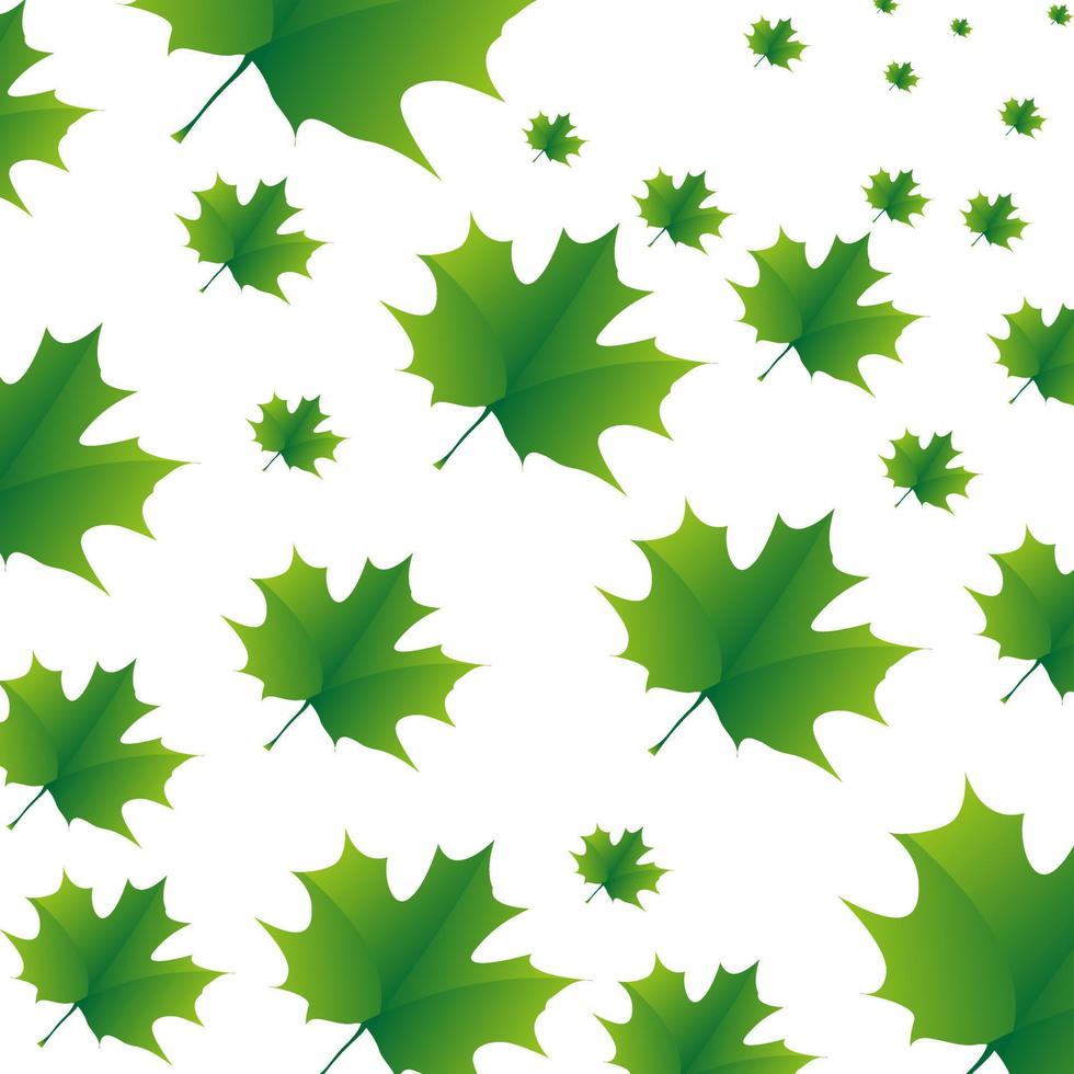 The green maple leaves pattern on white background. the exture autumn maples in illustration templates vector