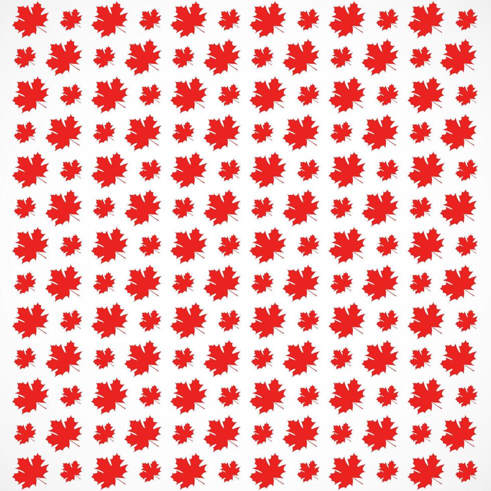 pattern of Red maple leaves on white background. texture template in autumn leaves vector