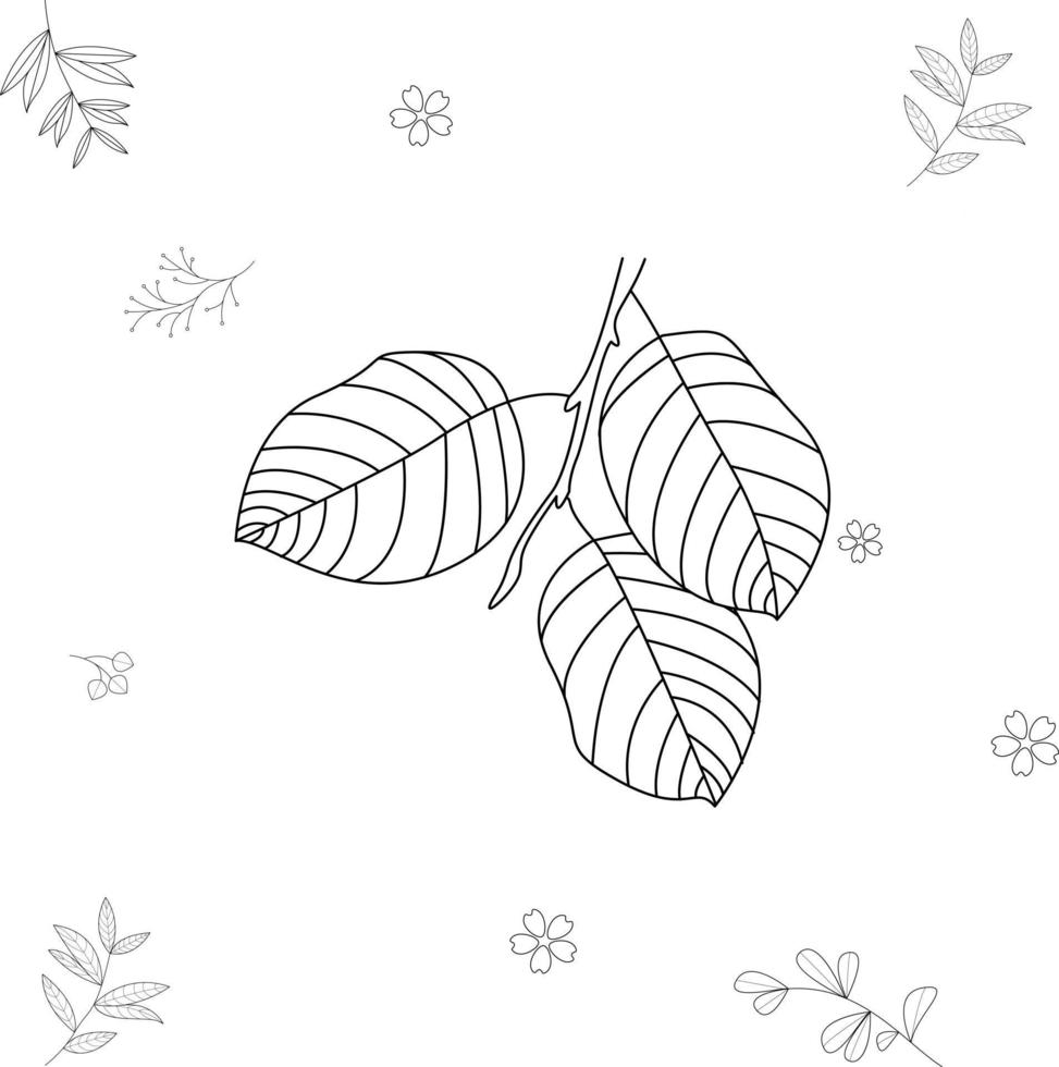 leaves vector illustration for coloring book