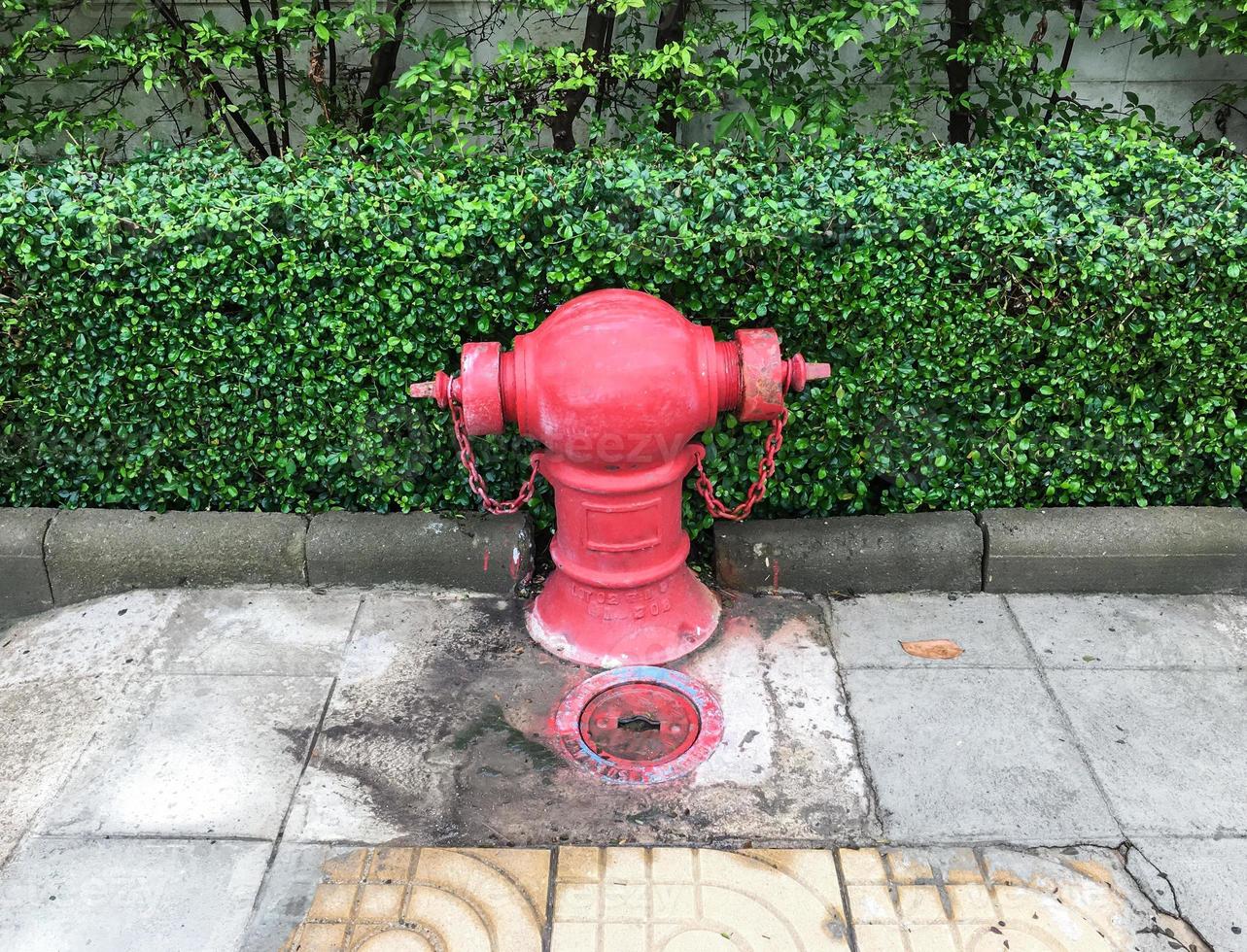Old fire hydrant with the large valve. photo