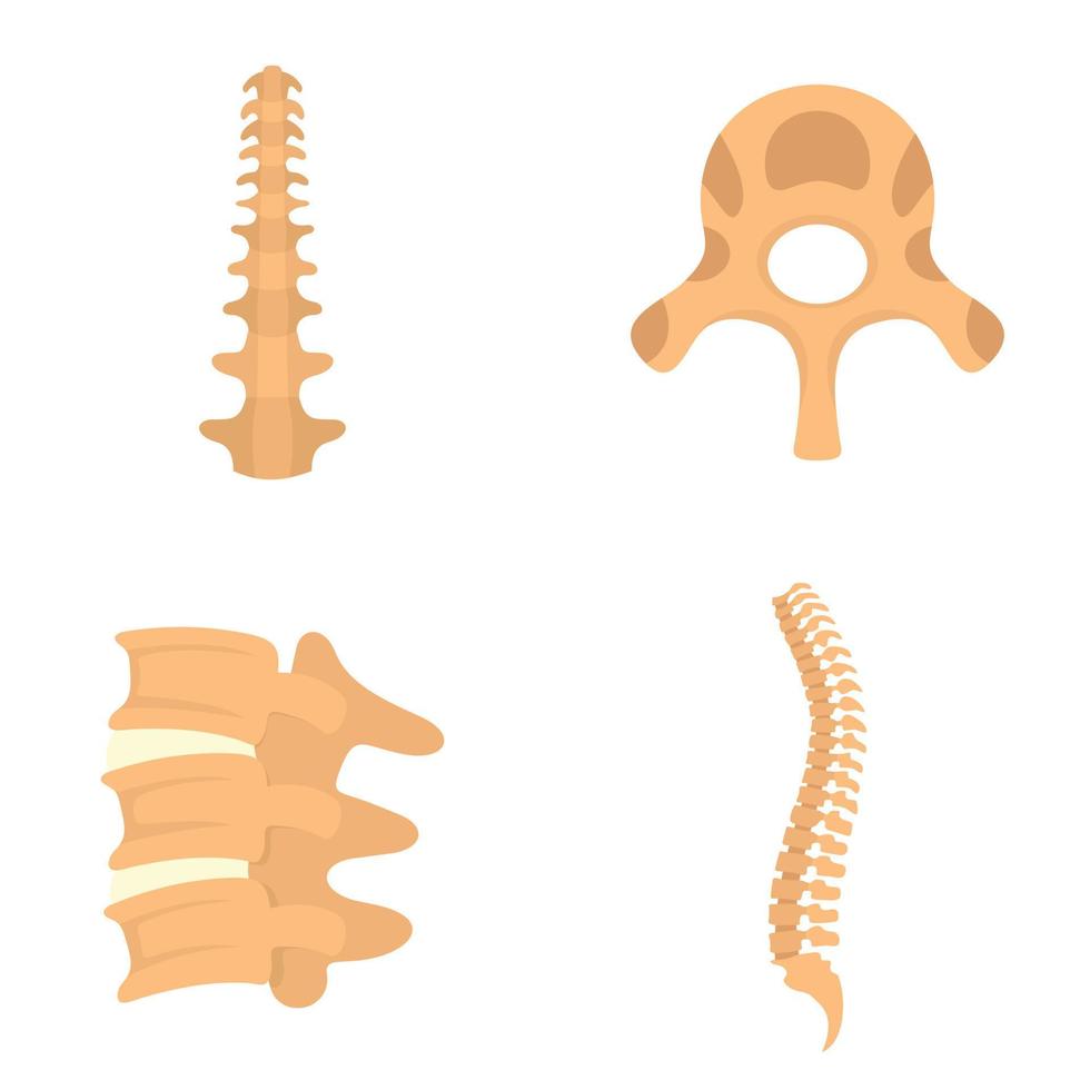 Spine orthopedic vertebra icons set, flat style vector