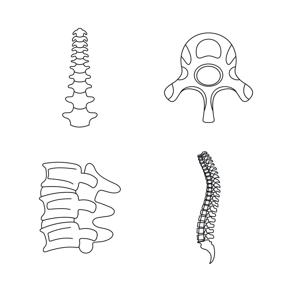 Spine orthopedic vertebra icons set, outline style vector