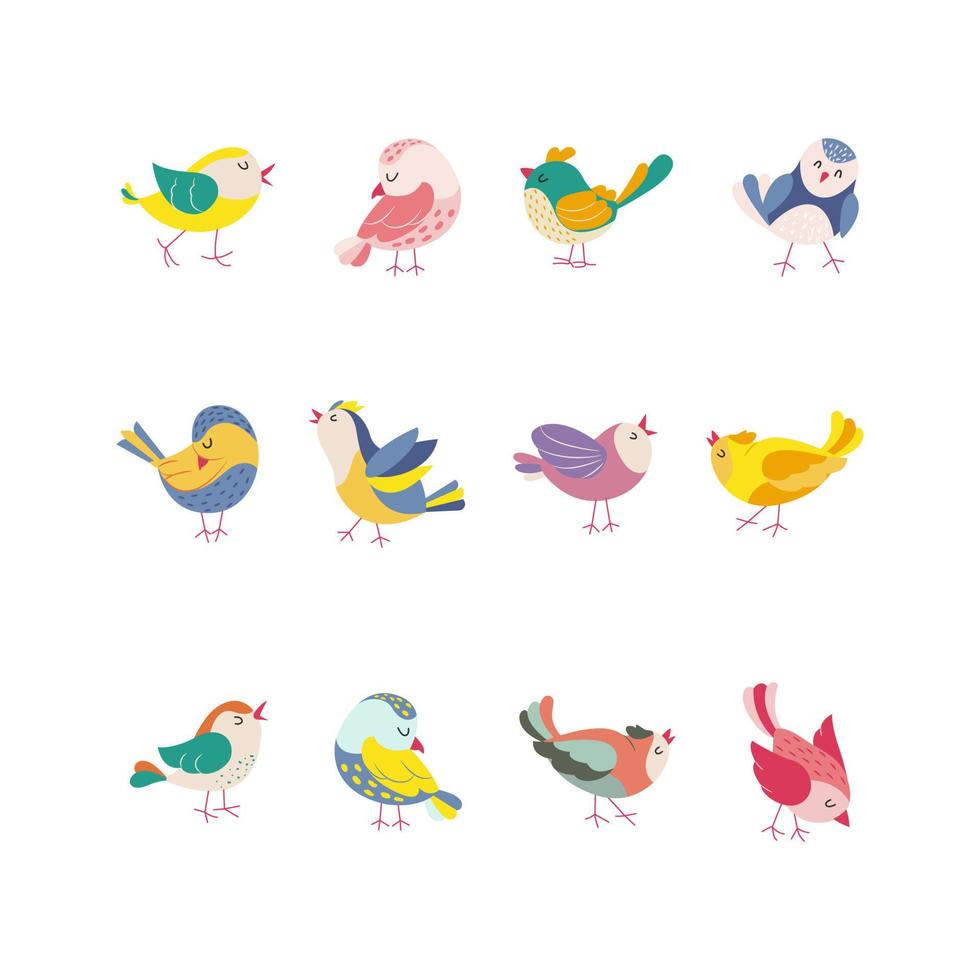 Funny colored birds in different poses set. Exotic birds collection. Vector illustration in flat style