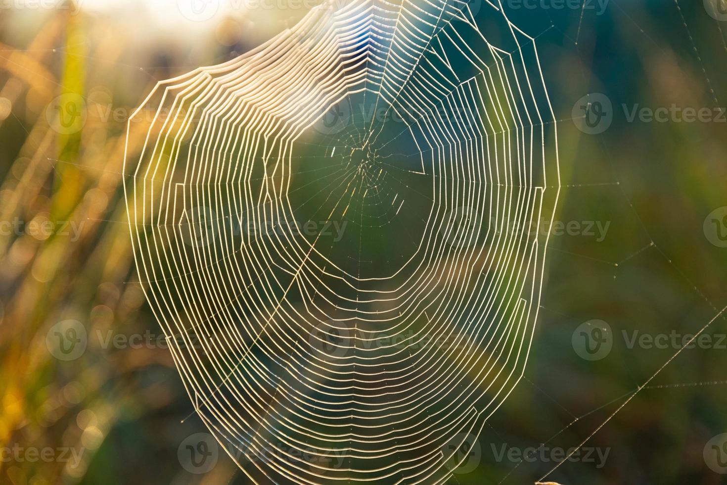 Spider web with dewdrops, wounded by a cold misty morning. Selective focus. photo