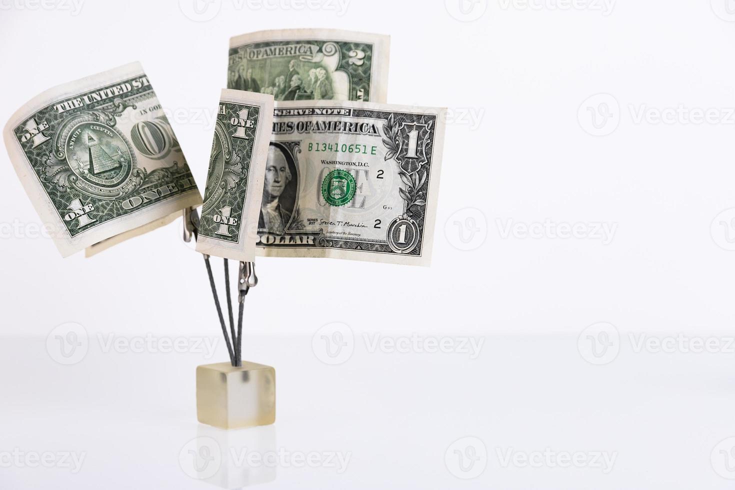 Money tree from dollar bills isolated on white background. Copy space. photo