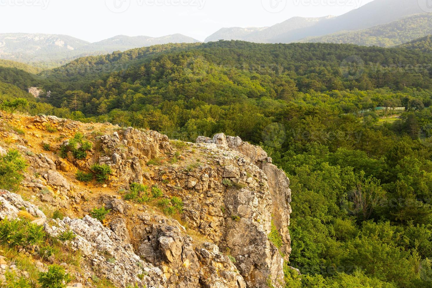 Gray wild rocks and wild green forest. View from above. Landscape. photo