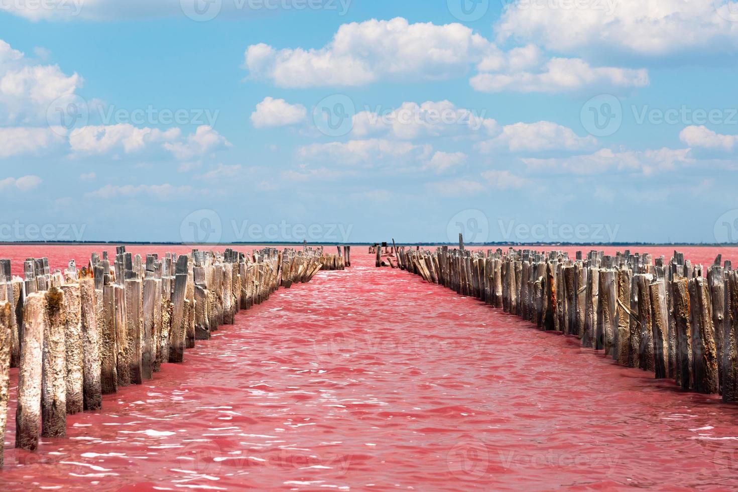 Exotic pink salt lake and blue sky with clouds. 8809169 Stock Photo at