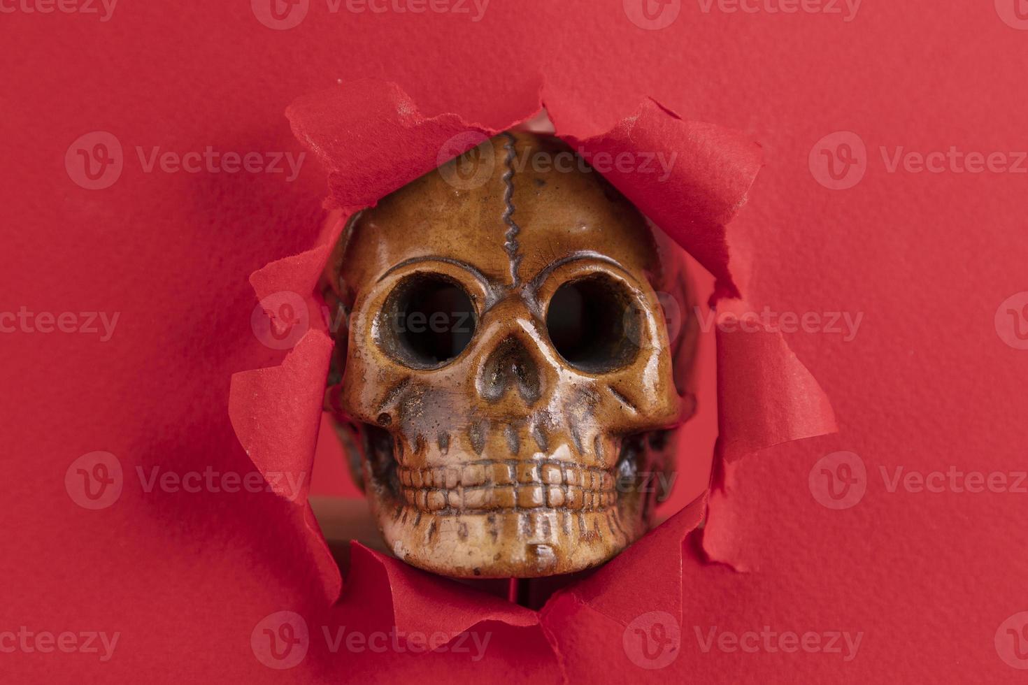 A copy of the Human Skull peeks out from behind red scraps of paper. Red background. Copy space. photo