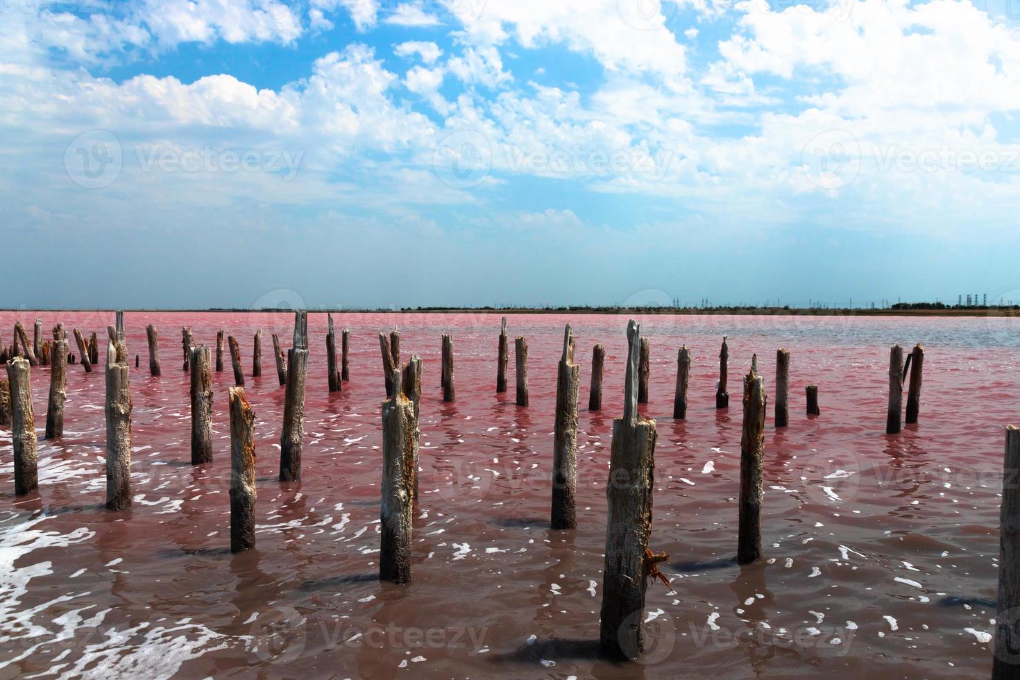 Exotic pink salt lake and blue sky with clouds. photo