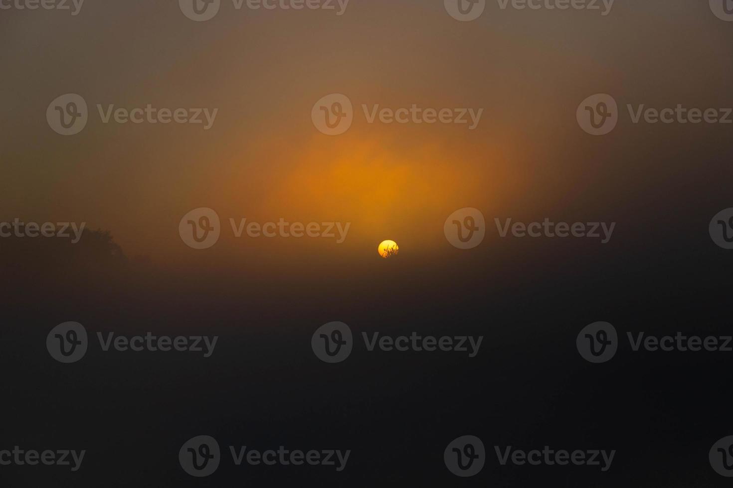 Panorama of beautiful misty lake coast at sunrise moment. photo