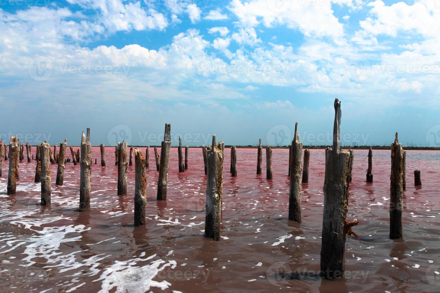 Exotic pink salt lake and blue sky with clouds. photo