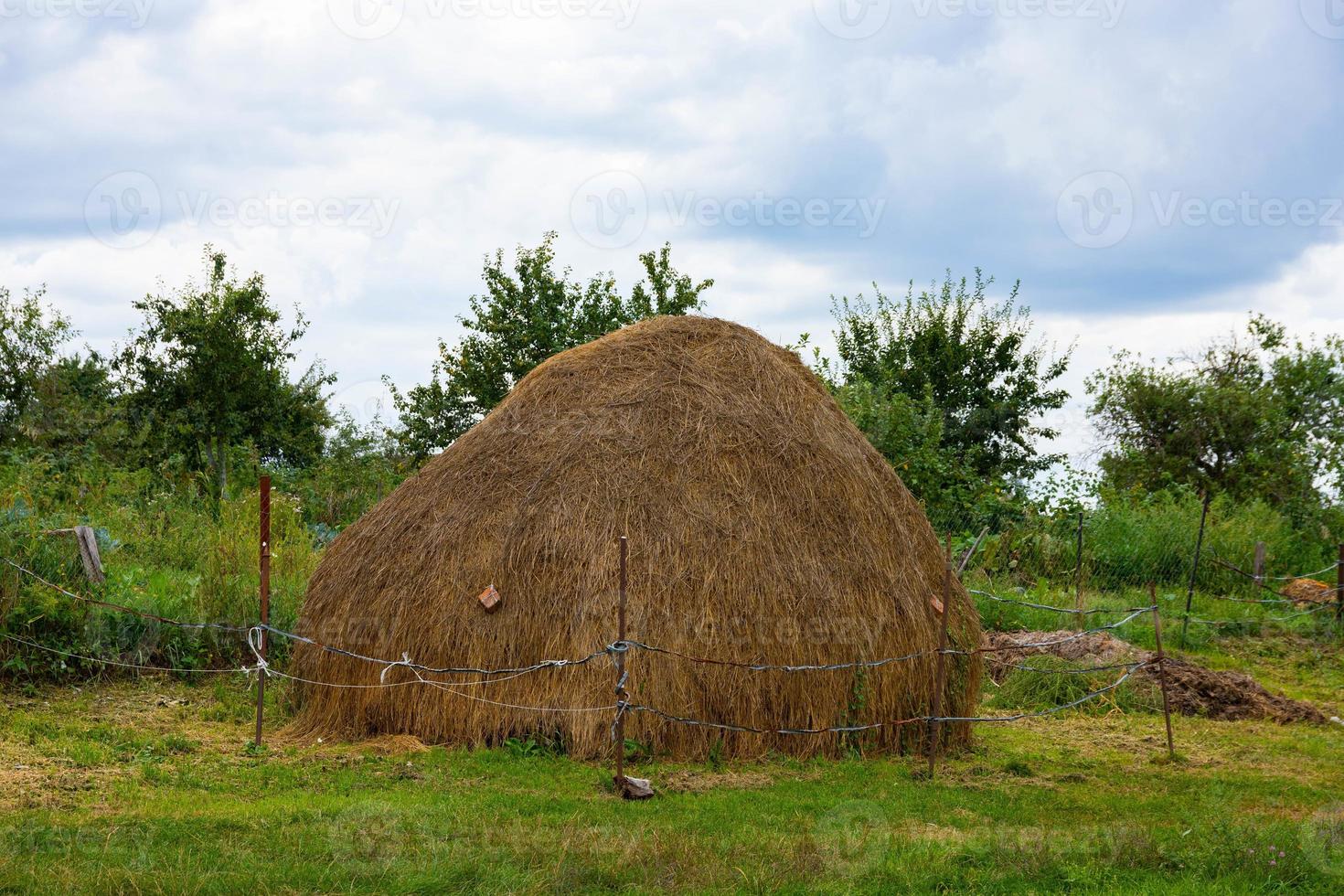 Haystack, a mountain of straw, dry grass. Agricultural farm and farming, harvesting. photo