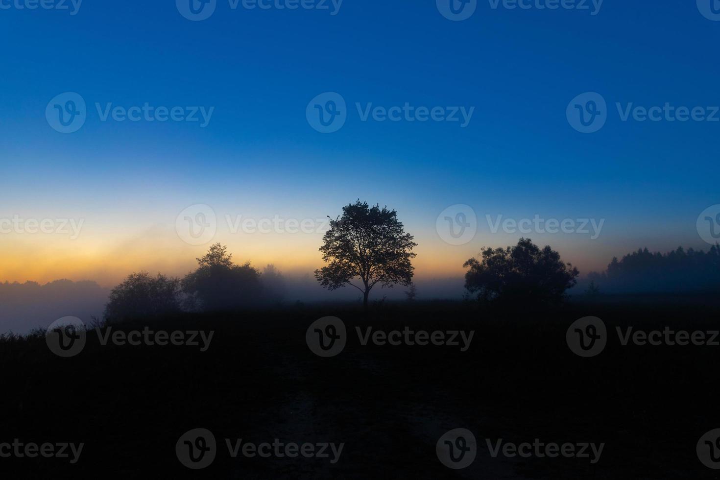 A picturesque autumn landscape, a lonely tree against the background of a misty dawn, on the river bank. photo